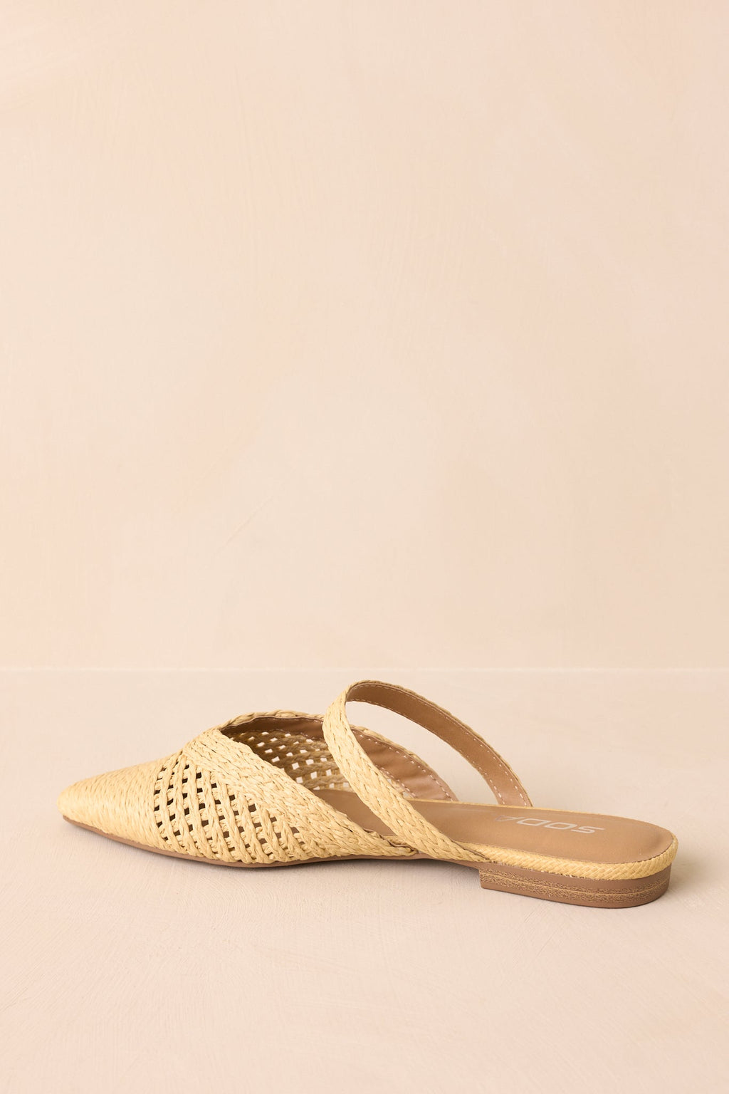 There She Goes Mules elegantes de rafia tejida con punta