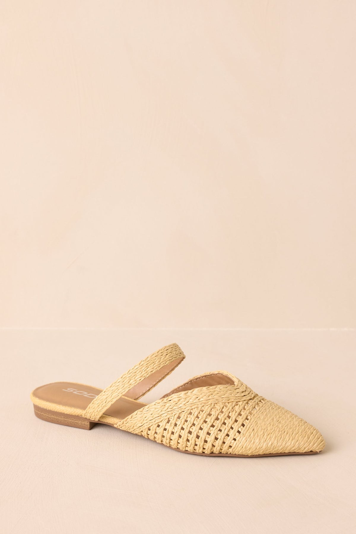 There She Goes Mules elegantes de rafia tejida con punta
